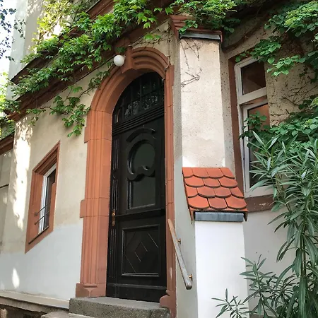 Apartment Schoenes In Gohlis- Sued *